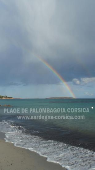 PLAGE DE PALOMBAGGIA CORSICA
