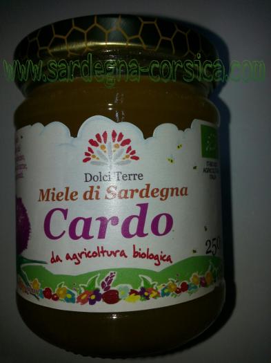 Miele di sardegna cardo bio www sardegna corsica com