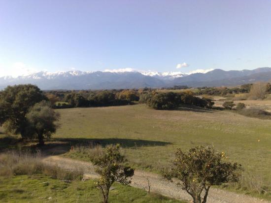 CORSE VUE DEPUIS TEPPE ROSSE 20270