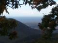 CORSE VUE DEPUIS UNE CHATAIGNERAIE CÔTE ORIENTALE