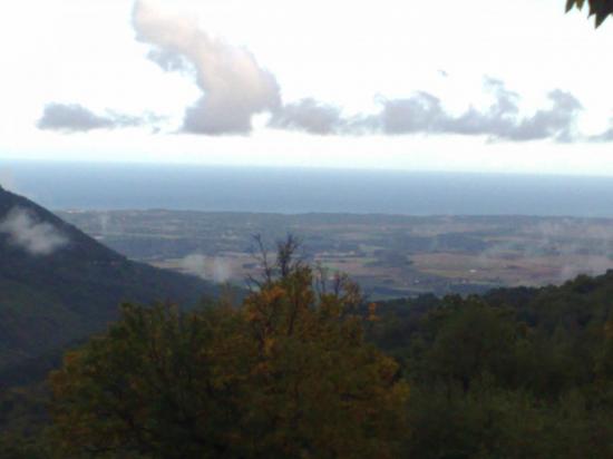 CORSICA COSTA ORIENTALE PAESAGGIO FORESTALE