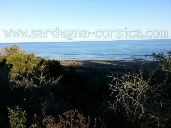 CORSICA COSTA ORIENTALE SPIAGGIA DI PADULONE