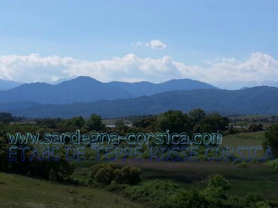 ETANG DE TEPPE ROSSE. CORSICA