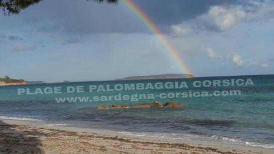 PLAGE DE PALOMBAGGIA