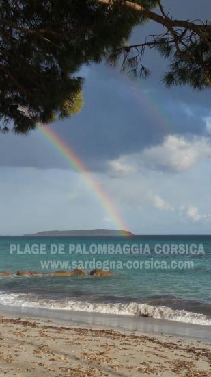 PLAGE DE PALOMBAGGIA CORSICA