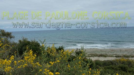 PLAGE DE PADULONE. CORSICA.