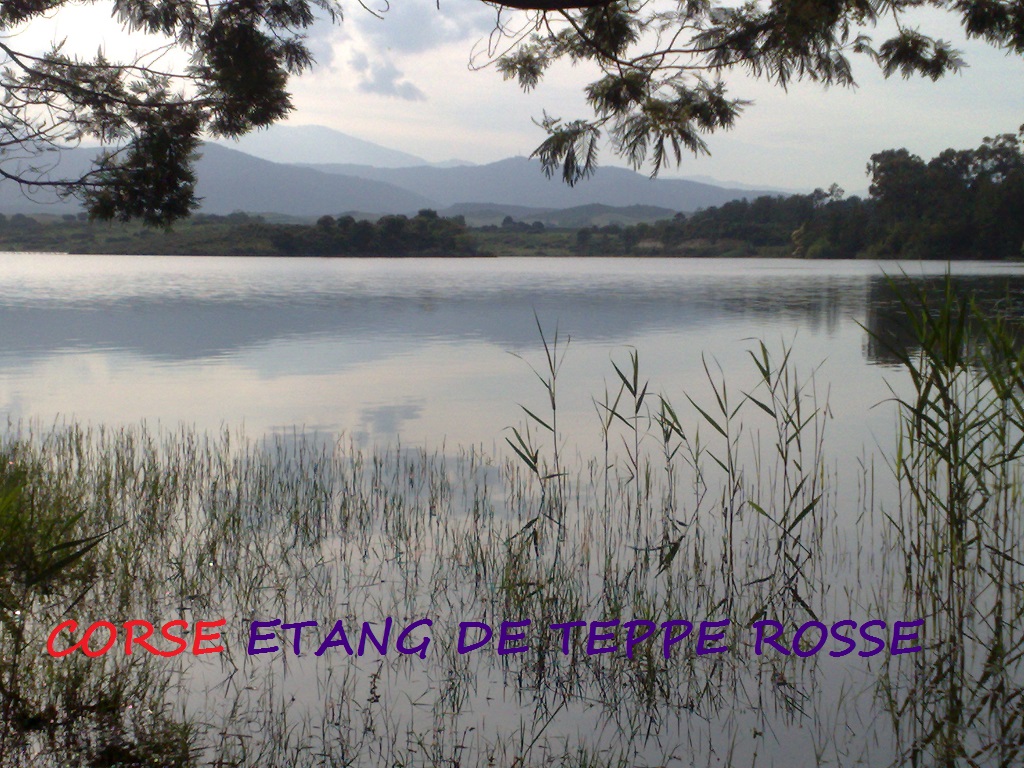 Carte Corse étang de Teppe Rosse