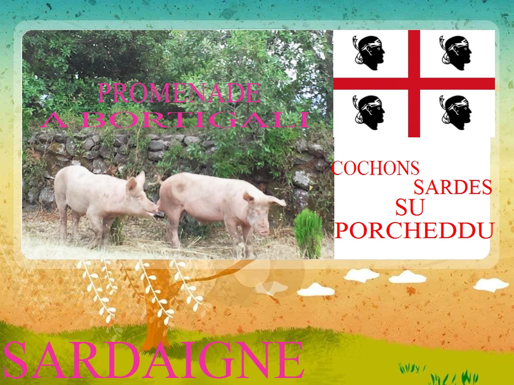 Carte Sardegna su porcheddu
