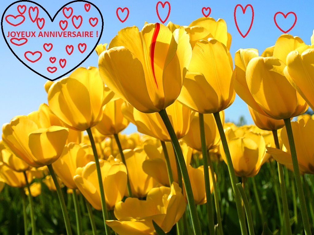 Felice compleanno con tulipani e cuori ( in francese )